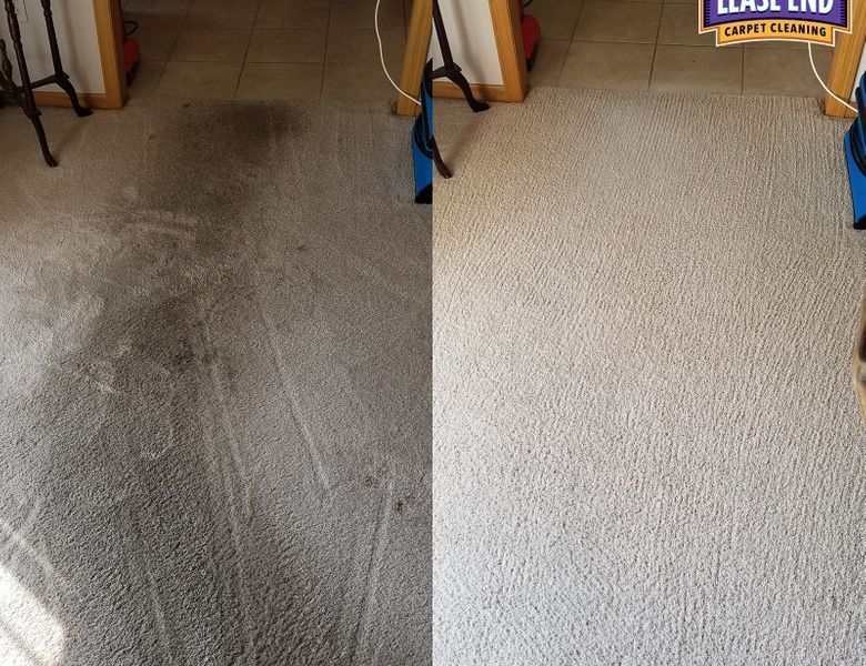 carpet cleaning service