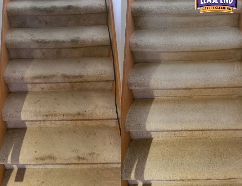 carpet cleaning service