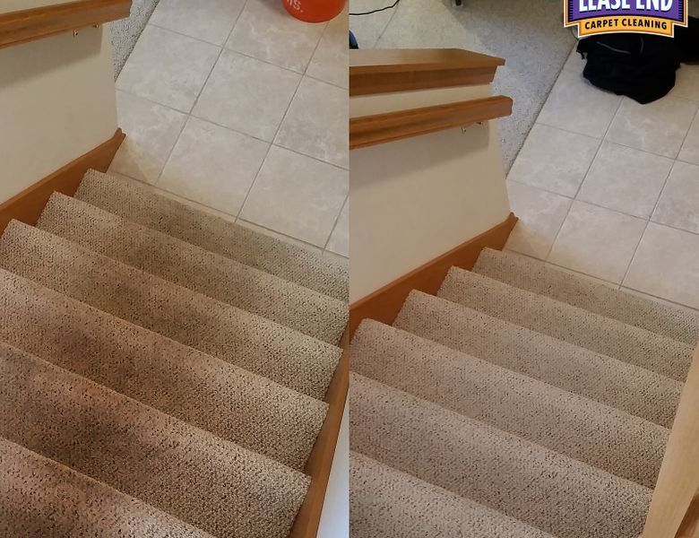 carpet cleaning service