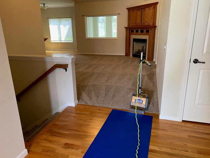 carpet cleaning service