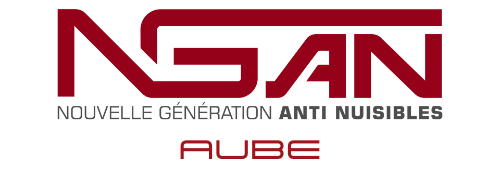 logo de l'entreprise ngan