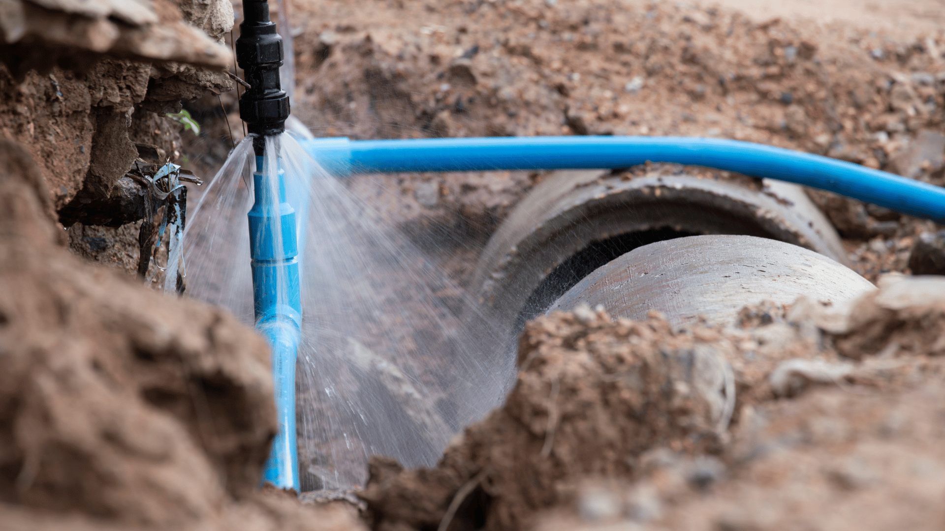 Sewer and Water line