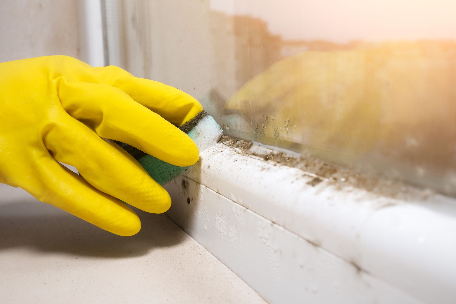 A yellow-gloved hand cleaning black mould fungus growing on a windowsill.