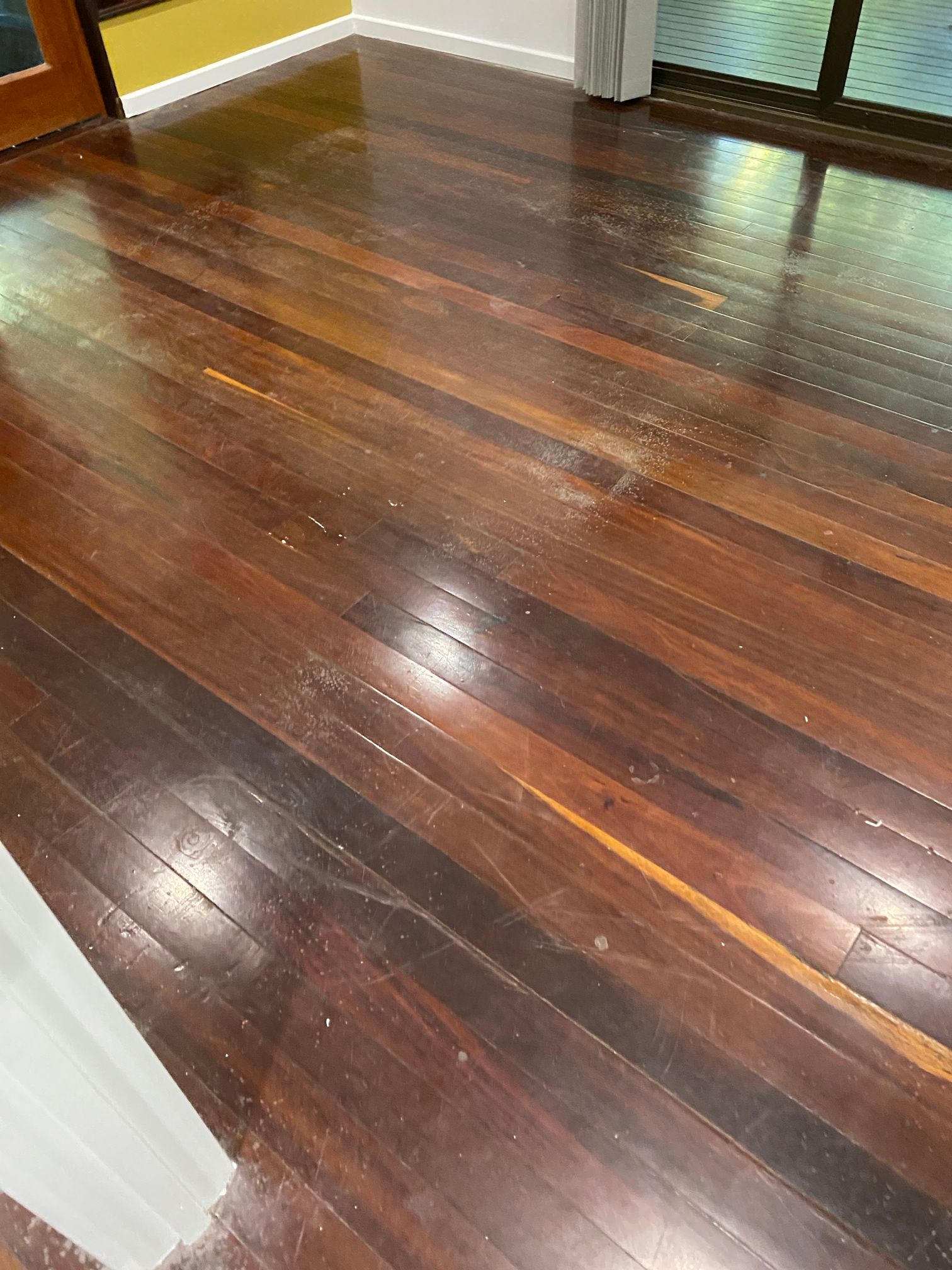 Timber Before