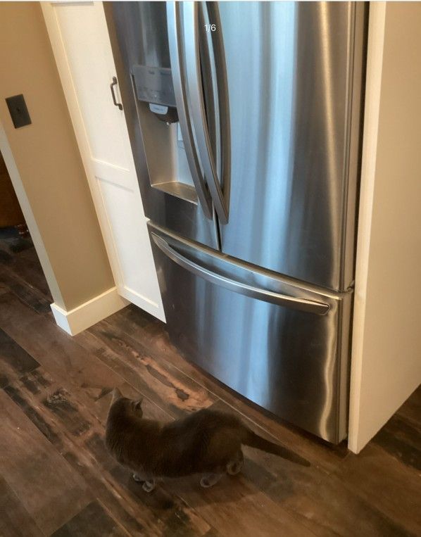 A close up of the inside of a refrigerator on a wooden floor.