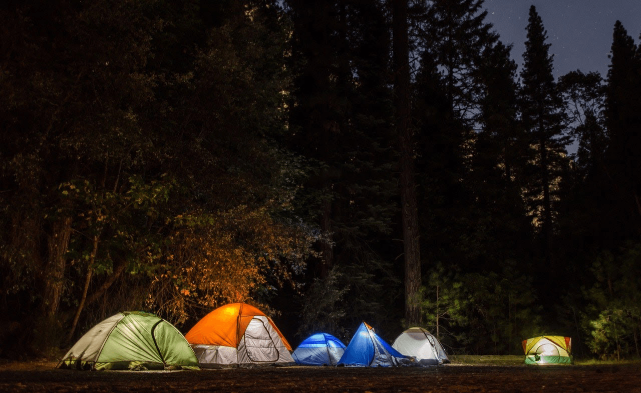 A row of tents are sitting in the middle of a forest at night.