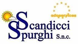 Scandicci Spurghi Ecoservices Logo