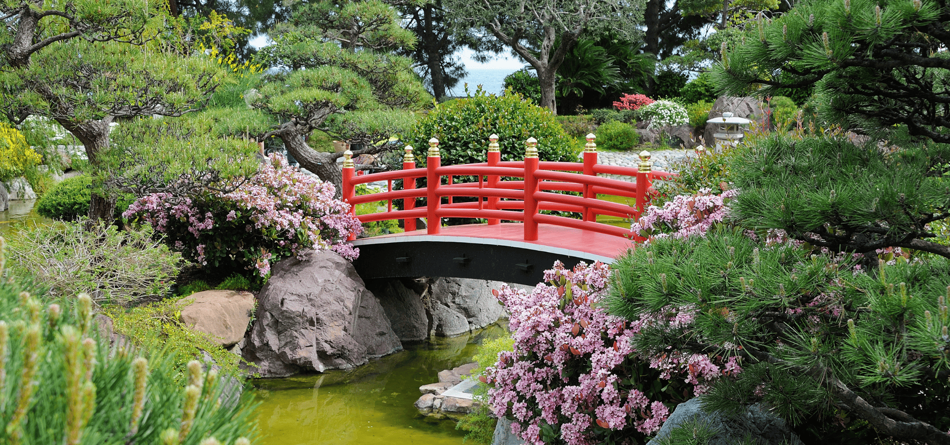 Japanese garden with a bridge and stone lanterns