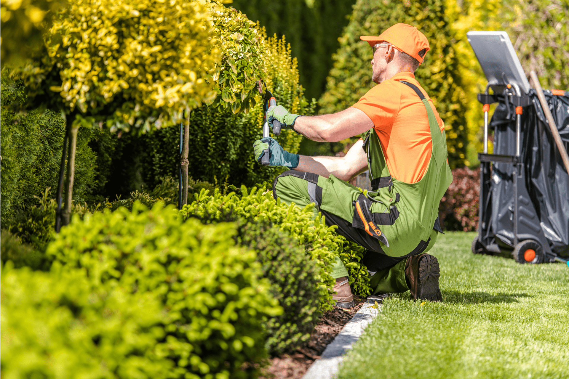 Landscaper in Boise, Idaho trimming plants with a pair of shears