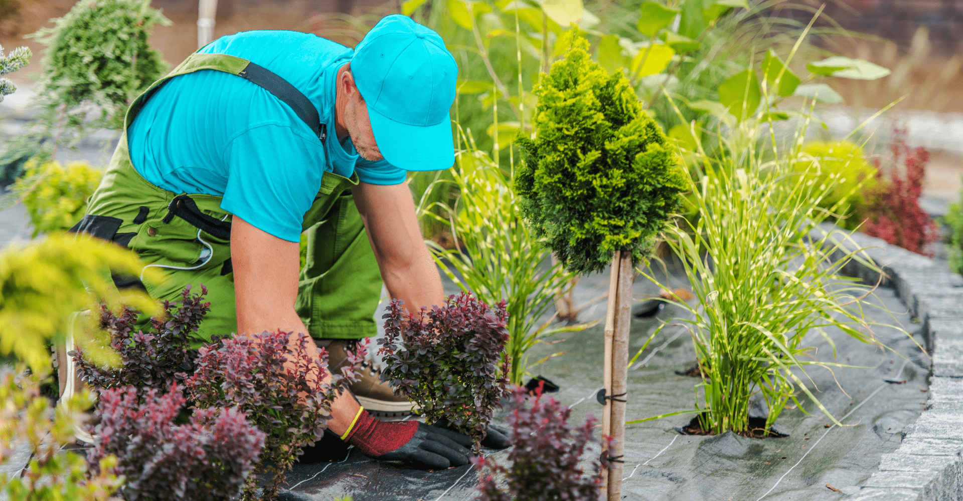 Professional landscaper from Boise Landscaping Company maintaining decorative plants during one of his regular visits