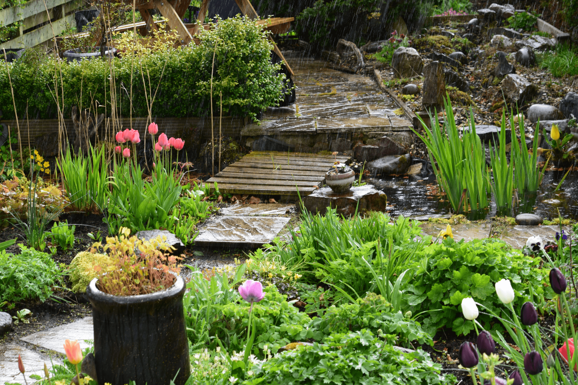 A beautiful landscaped garden in Boise while it's raining, with the steps and plants all wet