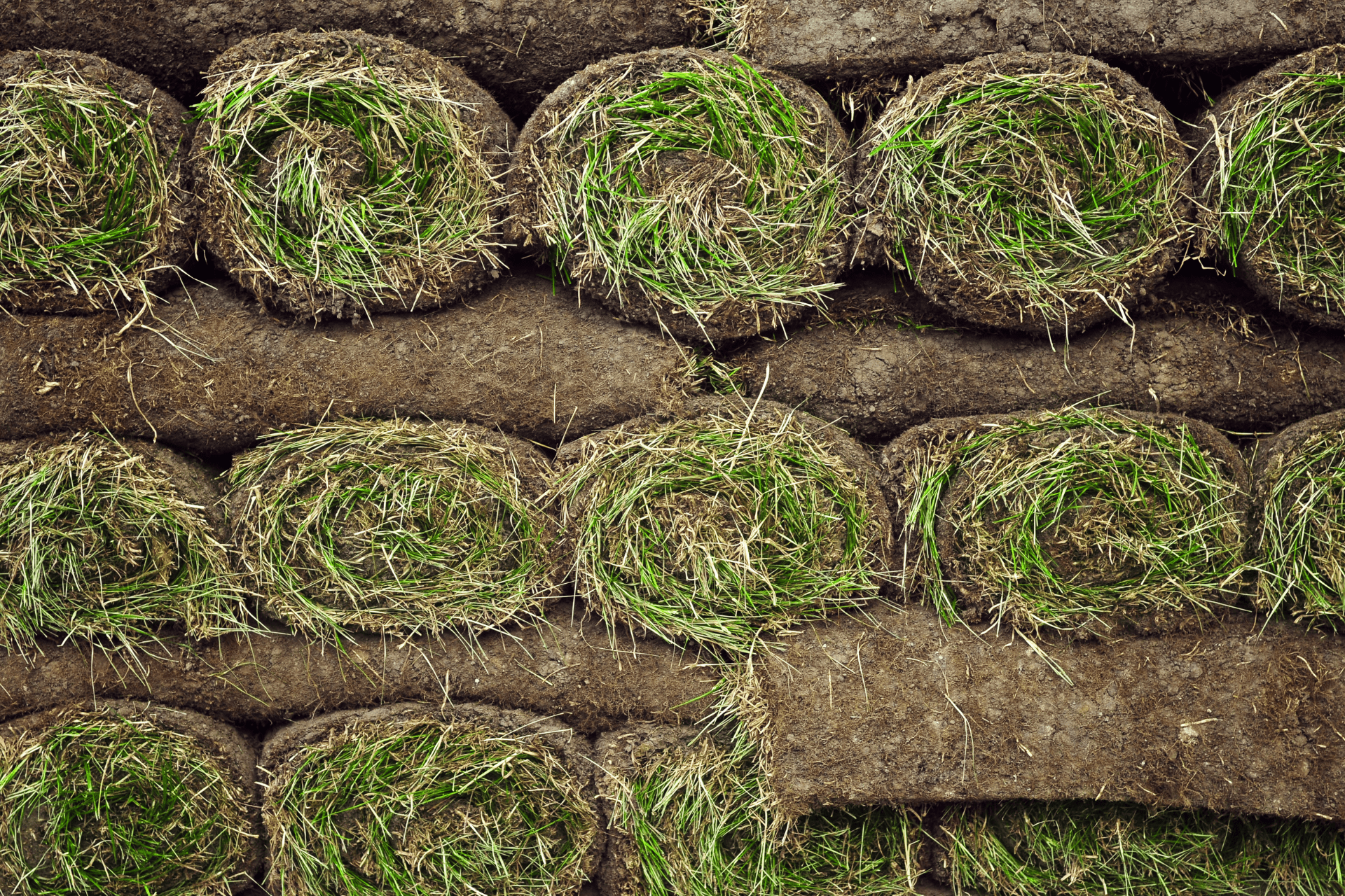 Rolled sod ready for installation, taken from the storeroom of Boise Landscaping Company