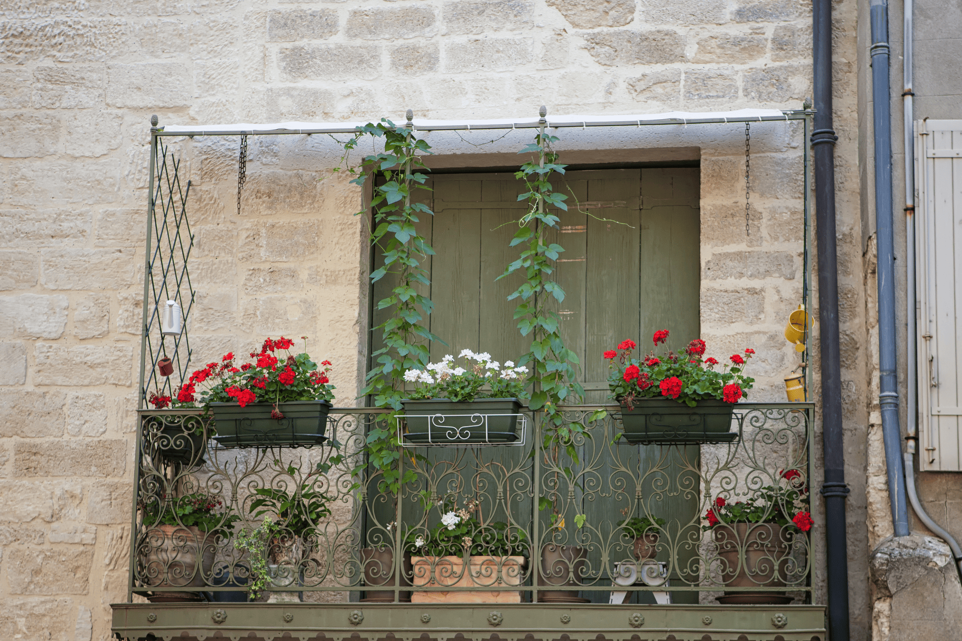 Balcony garden with climbing plants and pots on stands attached to the railings