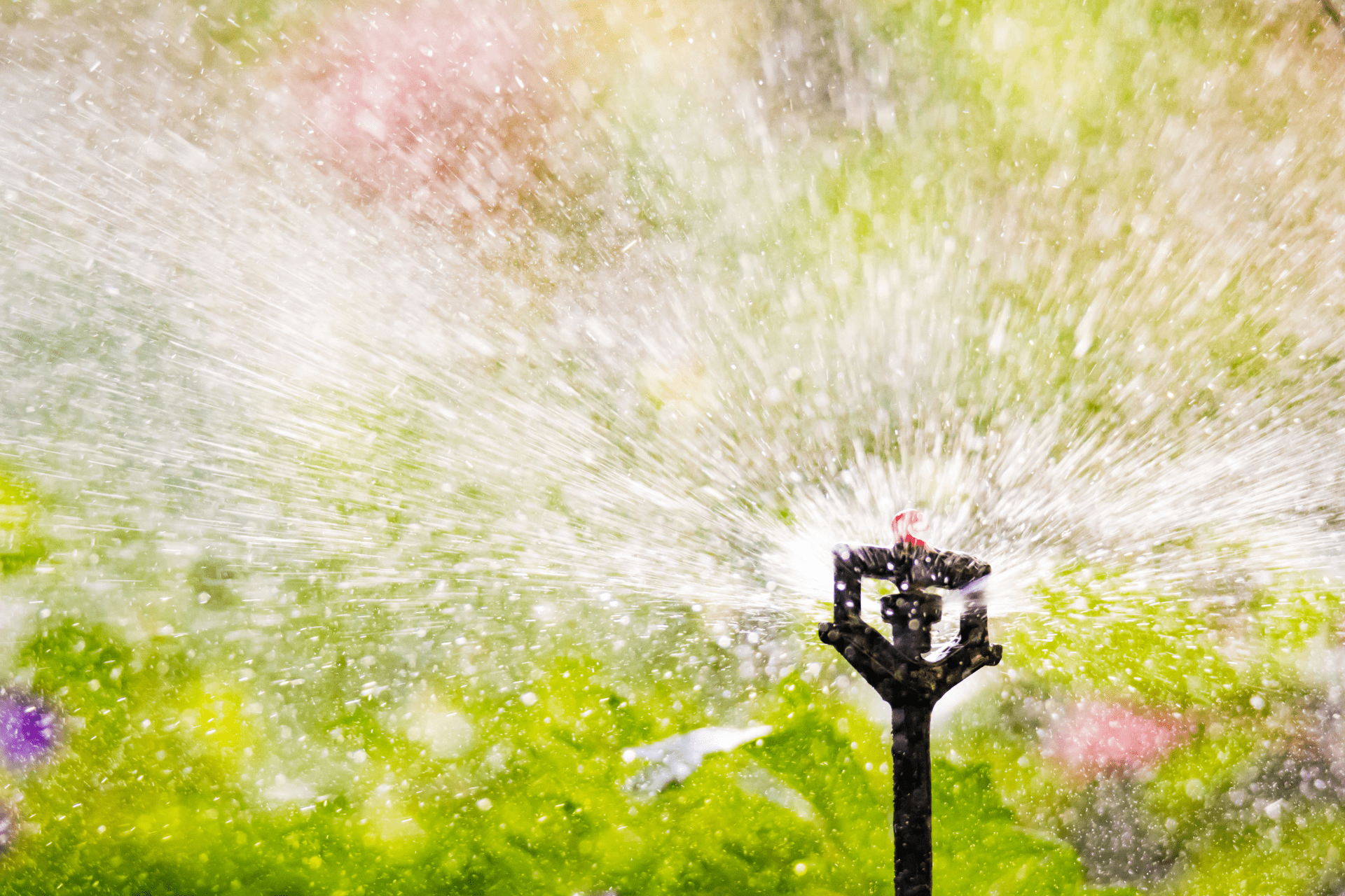 A sprinkler irrigation system watering the plants in a garden in Boise