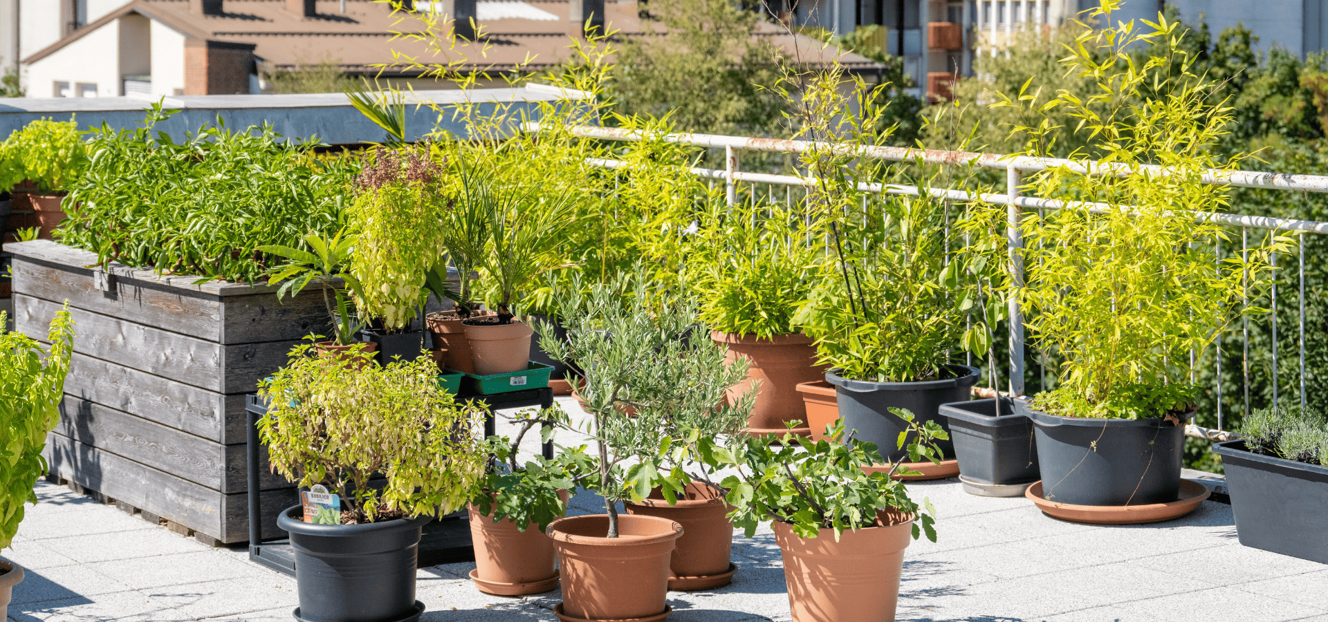 Rooftop garden using potted plants to minimize weight