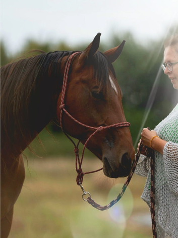 Bruin paard met een touwhalster, vastgehouden door een persoon in een buitenomgeving Fluisterhart InnerGuide