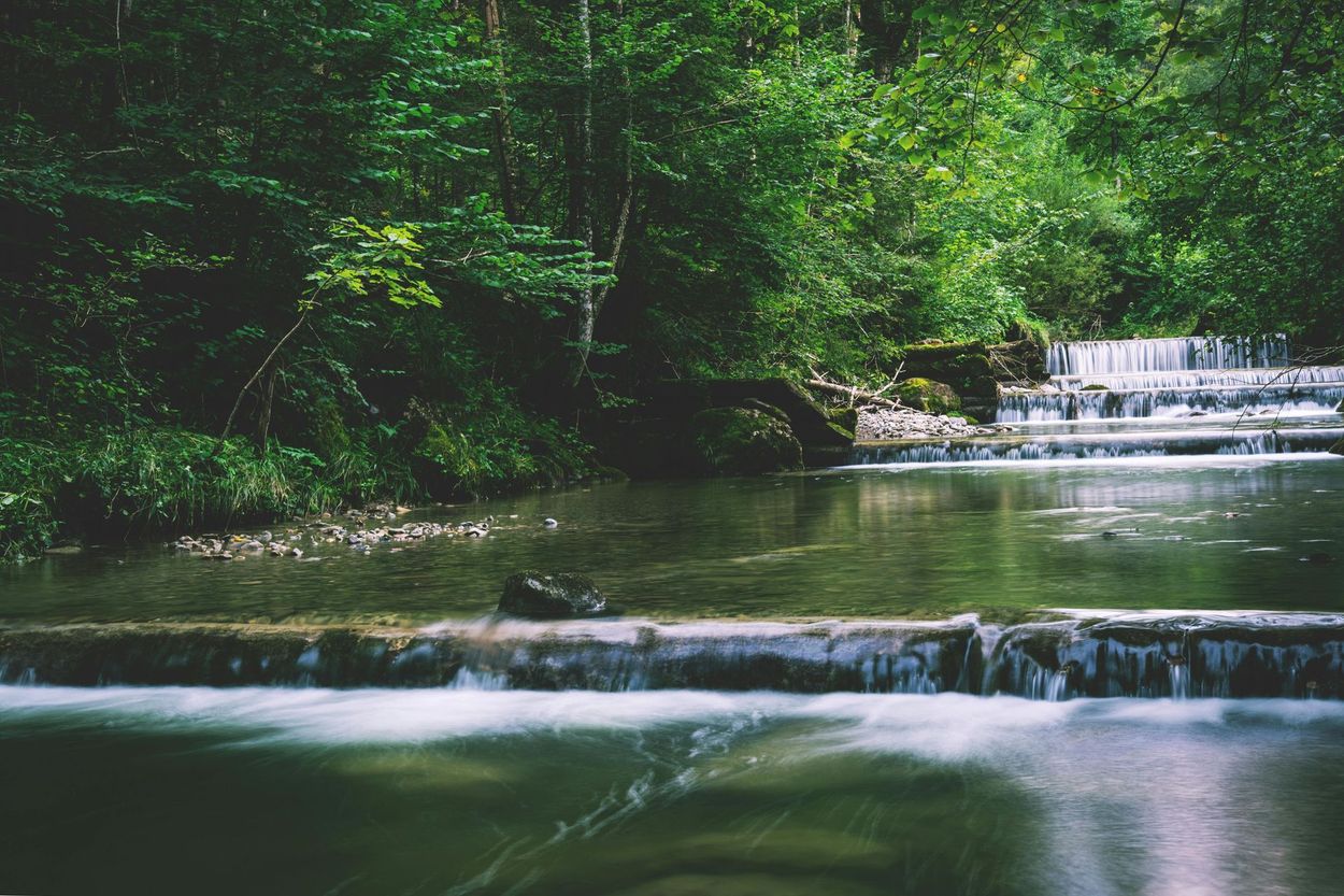Een waterval die door een weelderig groen bos stroomt; het licht weerkaatst op het wateroppervlak.