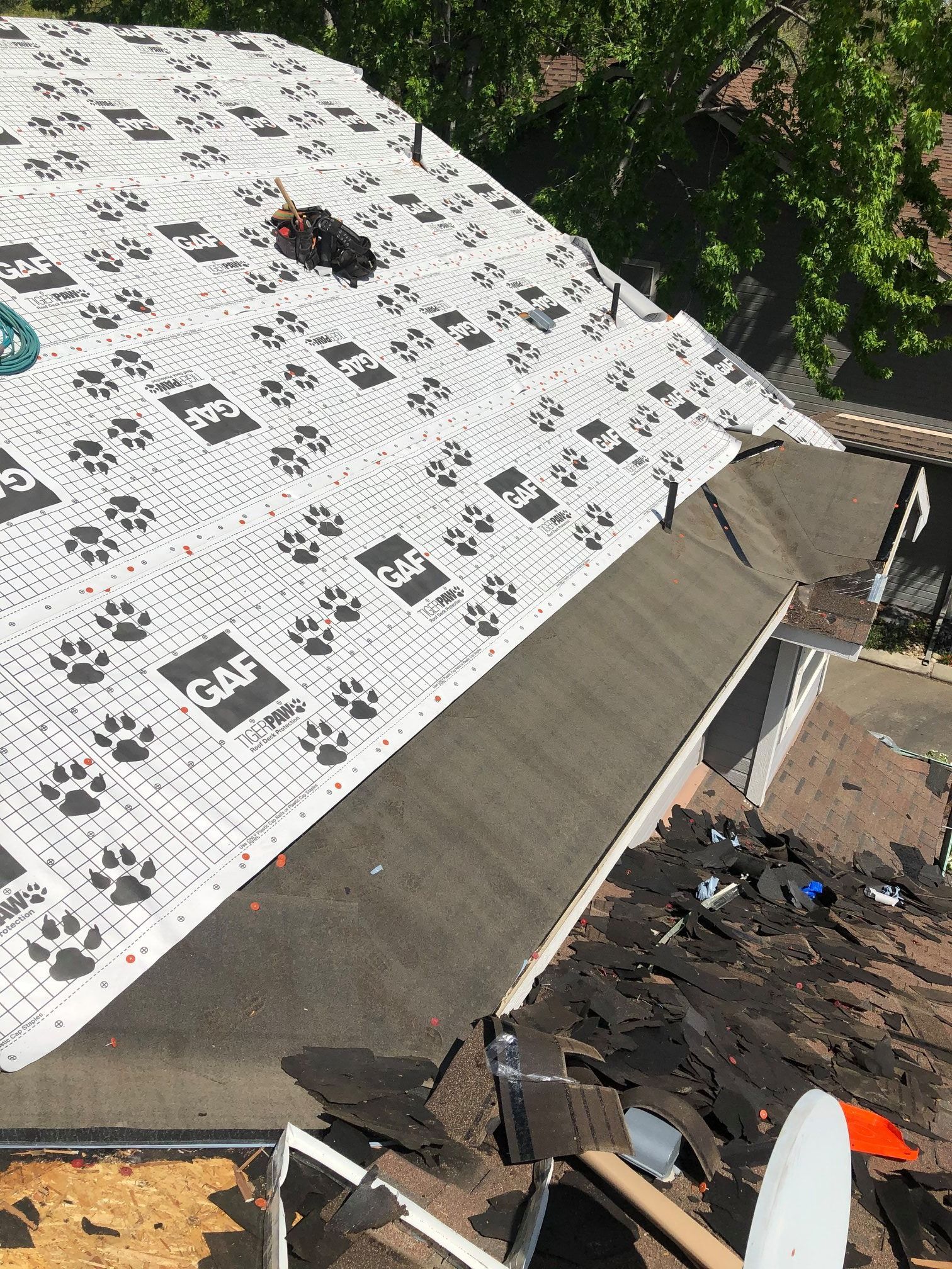 Roof with underlayment; old shingles removed. White underlayment has paw prints. Brown and green tones.