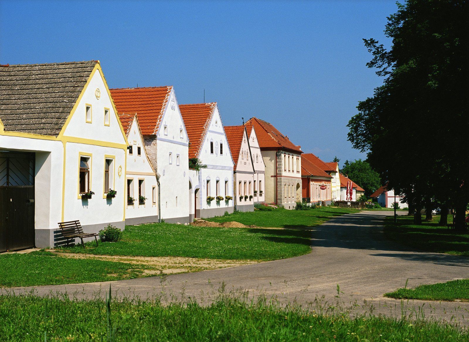Row of colorful historic houses in a village with red roofs, white walls, and a tree-lined street on a sunny day.