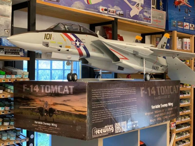 Modello di F-14 Tomcat