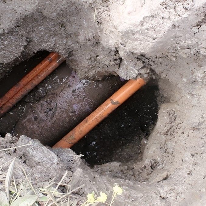 Close-up of a screen displaying a blurry image of brown and green matter with blue and green buttons.
