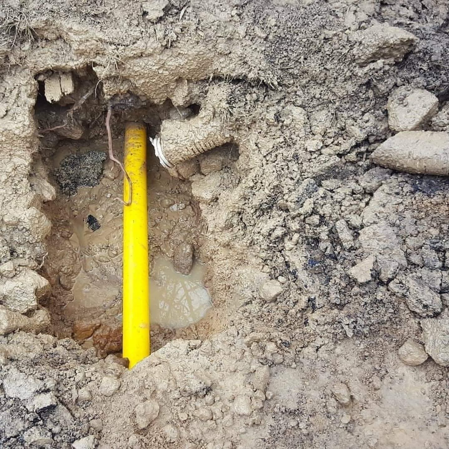Yellow gas pipe exposed in a hole dug in dirt and gravel.