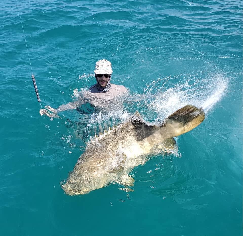 Goliath Grouper Fishing Guide Marco Island FL