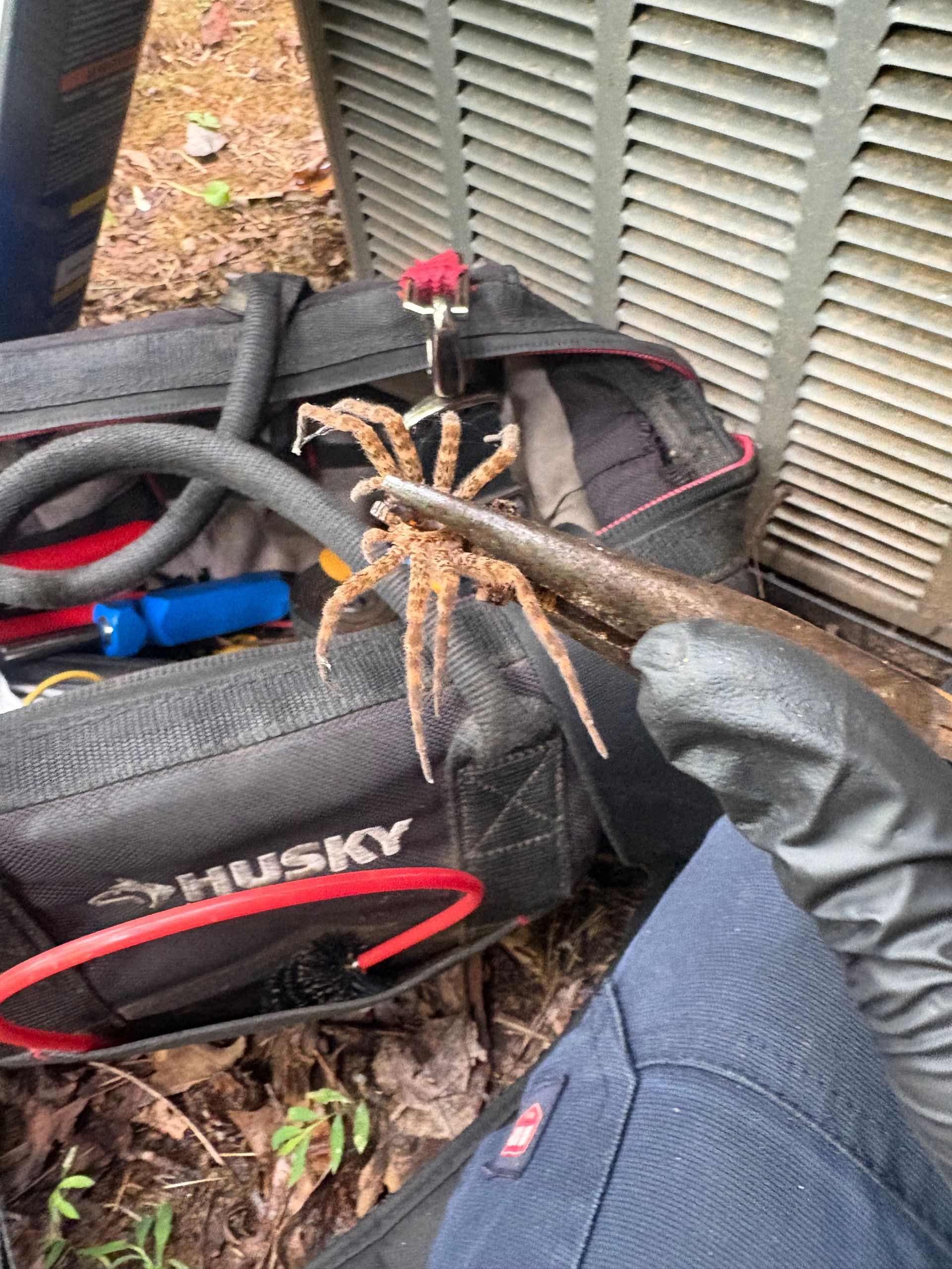 A gloved hand holds a large spider with pliers near an AC unit and a Husky tool bag.