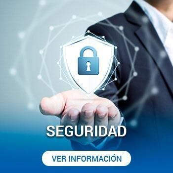 SEGURIDAD