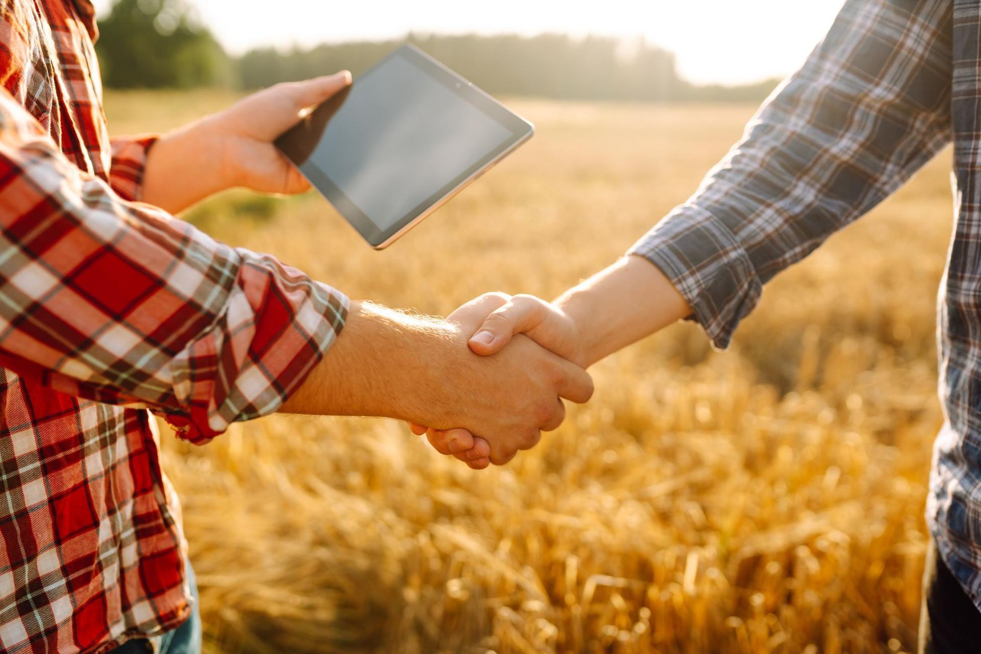 Two people in plaid shirts shaking hands in a wheat field, one holding a tablet.