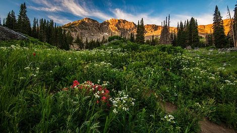 Mountain scenery