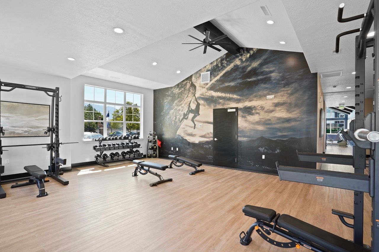 Bright indoor apartment gym with free weights, benches, and workout machines against a mural wall.