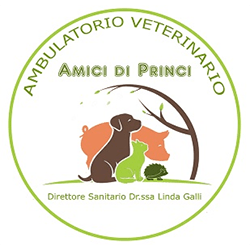 logo ambulatorio veterinario