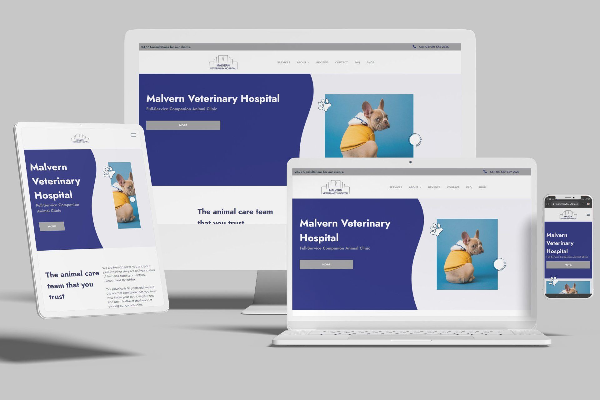 Duda Veterinary Website Example