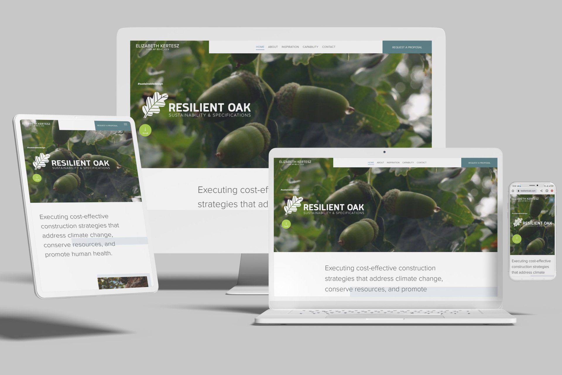 Duda Sustainable Building Consultant Website