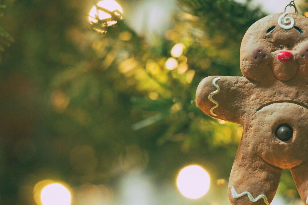 Political Campaign Website Squarespace