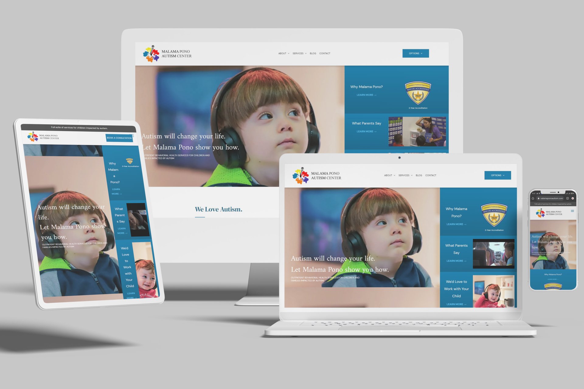Duda Website for Autism Therapists