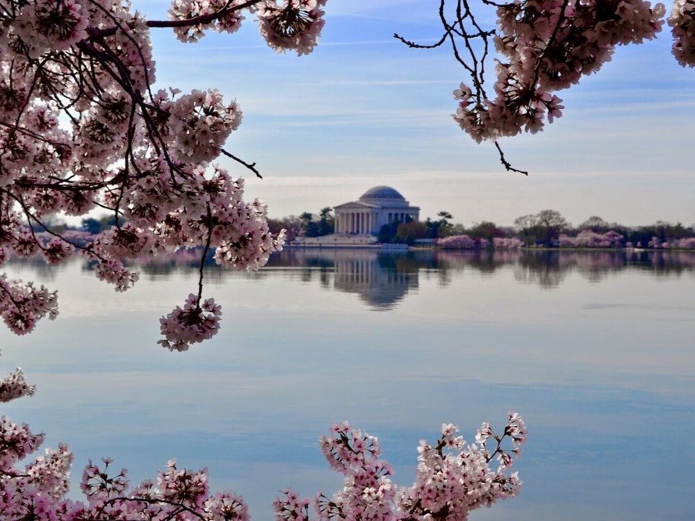 Squarespace Email Campaigns Political Campaign