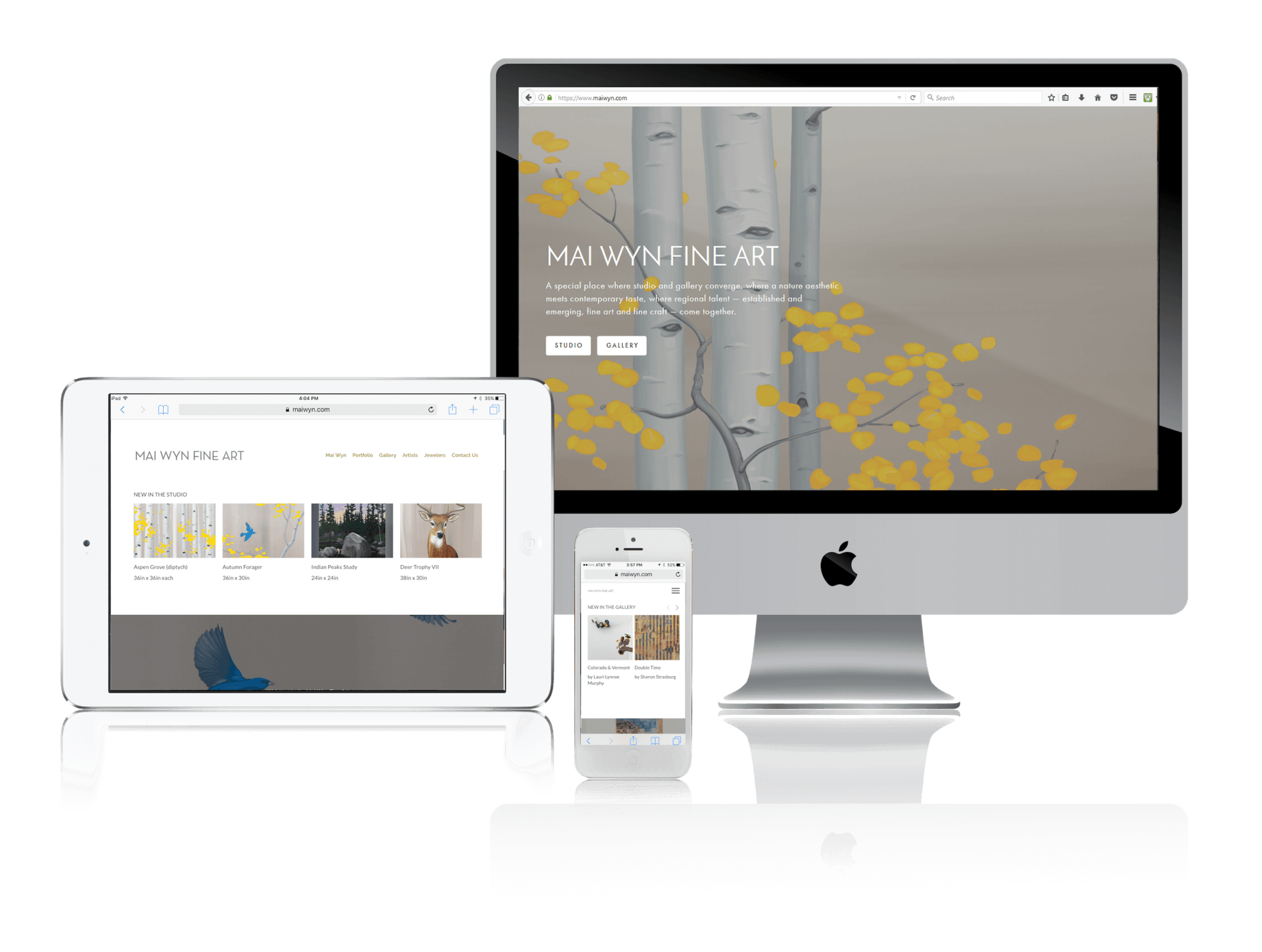 Squarespace for Fine Art