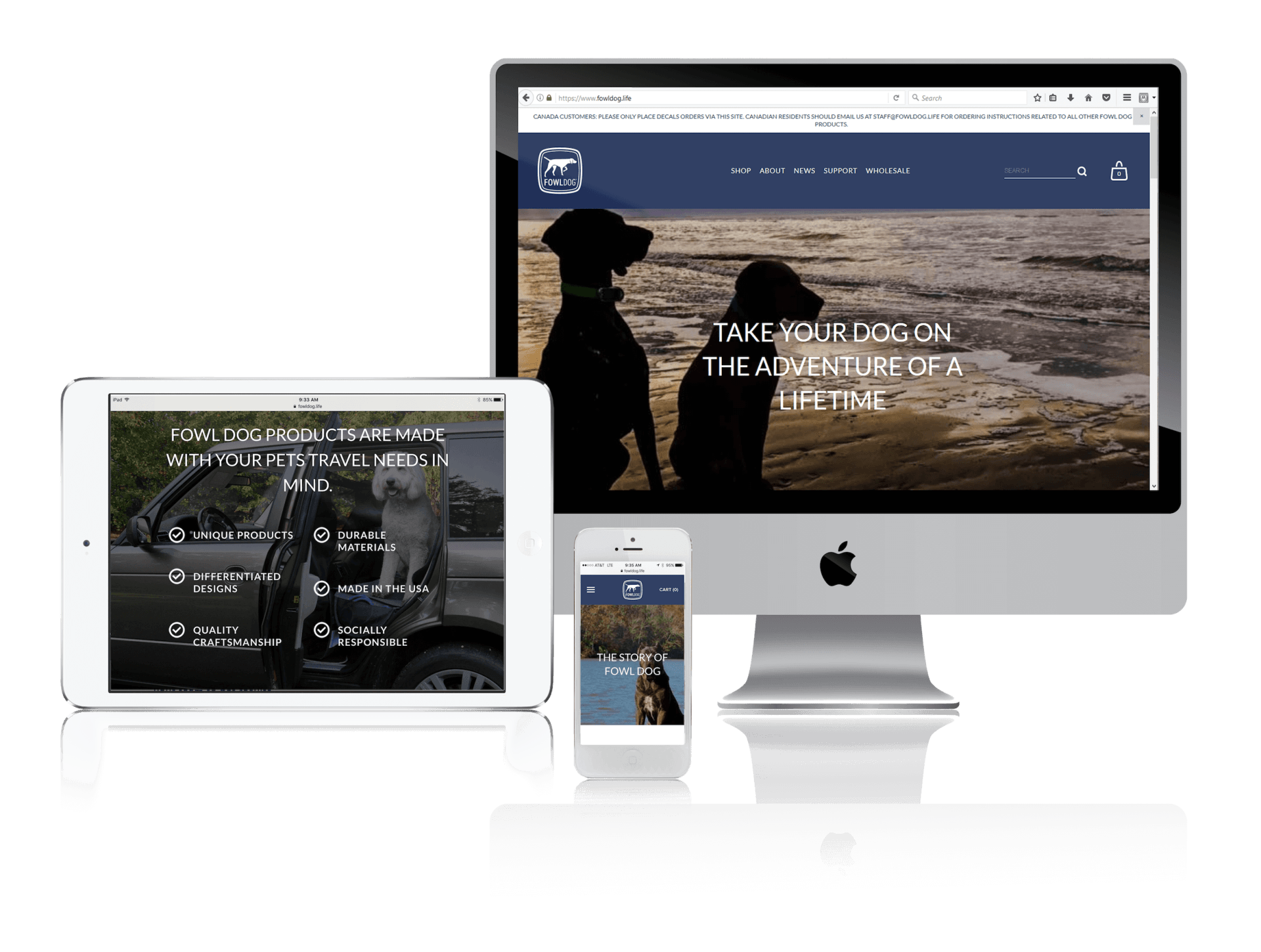 Squarespace for Shopping for Fido