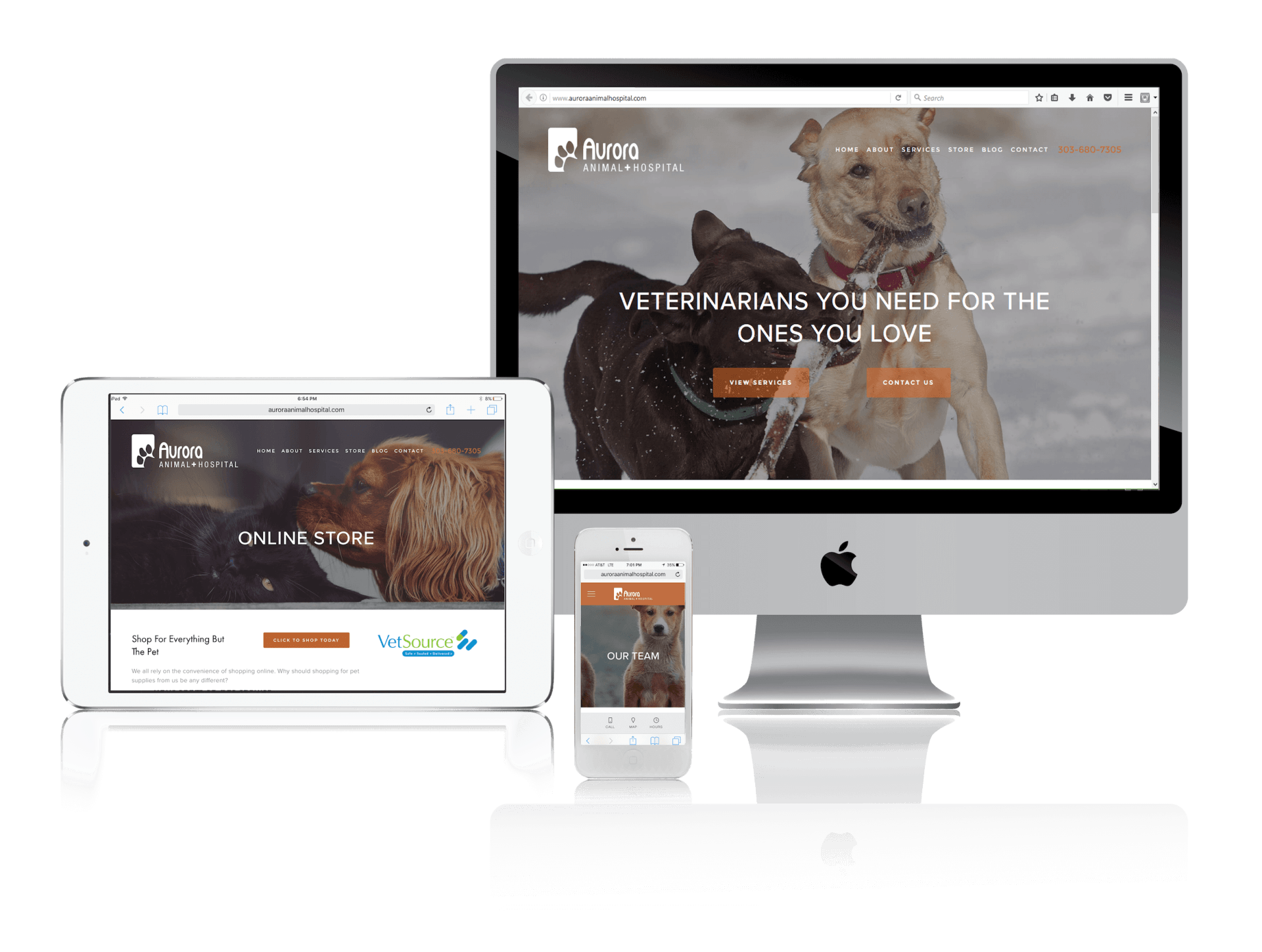 Squarespace for Veterinarians