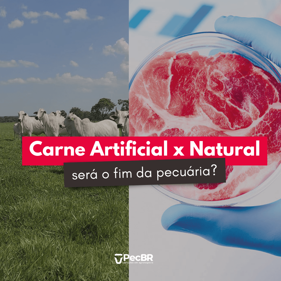 EUA: associação ensina como preparar cortes menos conhecidos de carne bovina