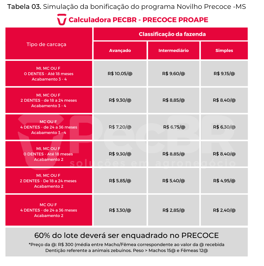 Bonificação Novilho Precoce - MS
