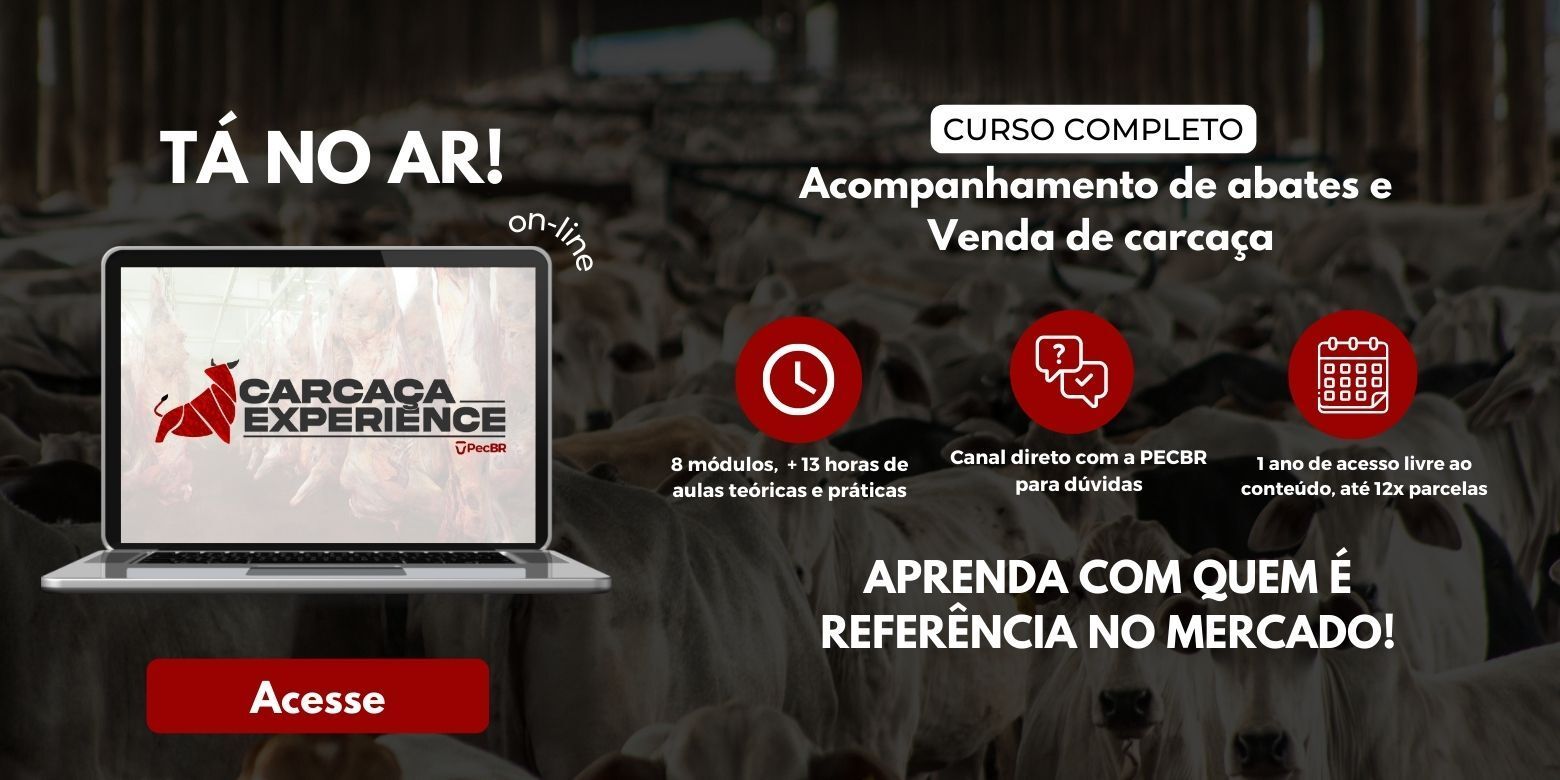 Carcaça Experience curso online