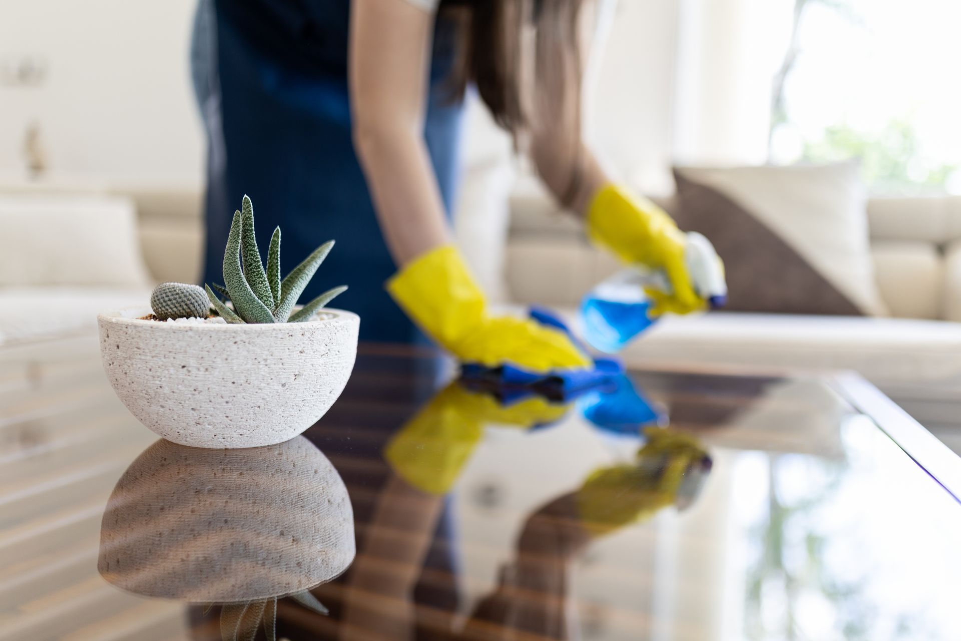 cleaning mds vision cleaning mds vision