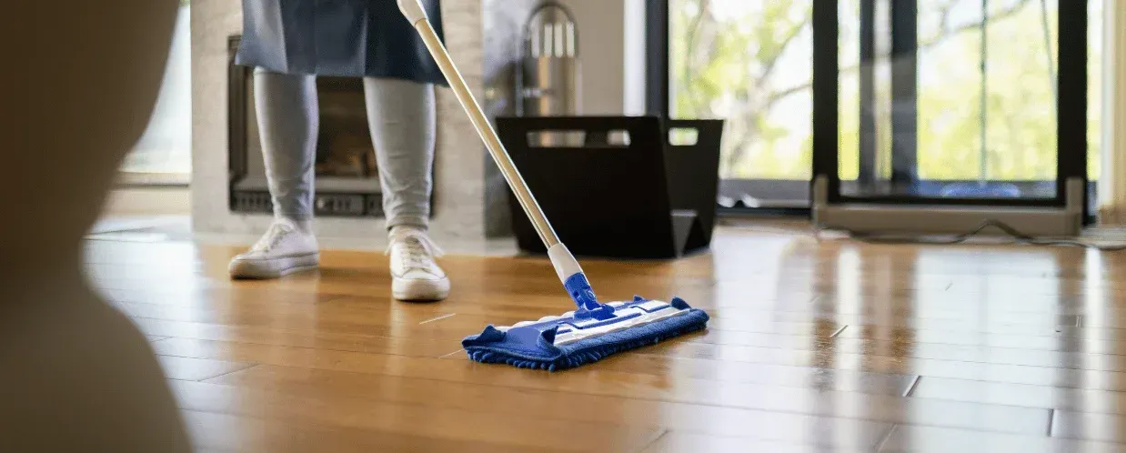 professional house cleaners laurel springs nj