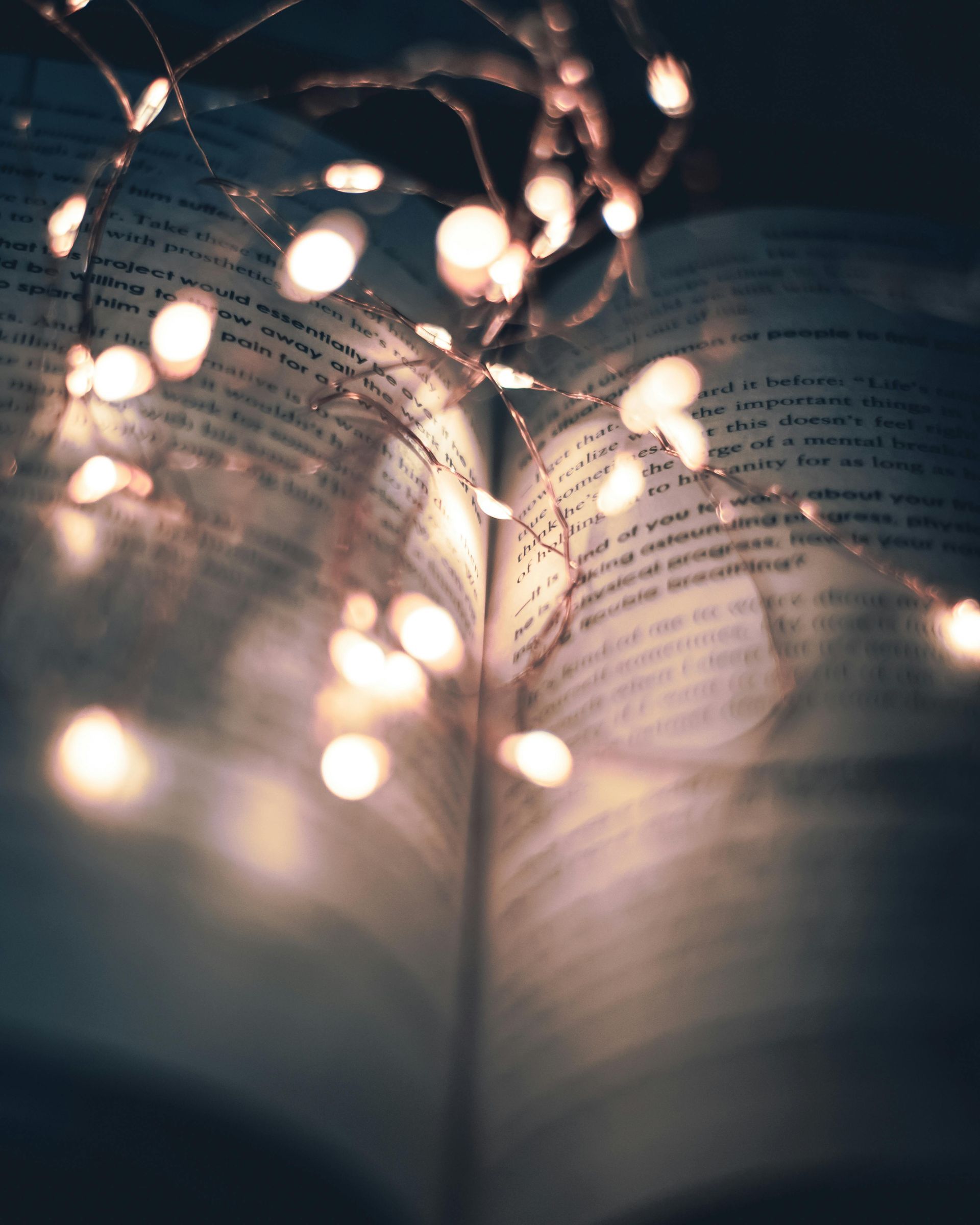 An open book with fairy lights across it.