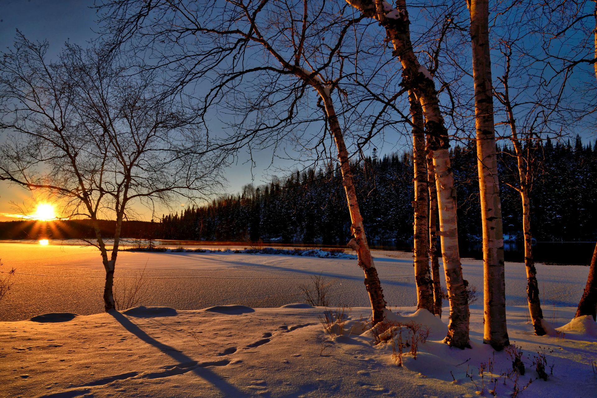 Sunrise over a winter scene of bare trees, snow and a frozen lake