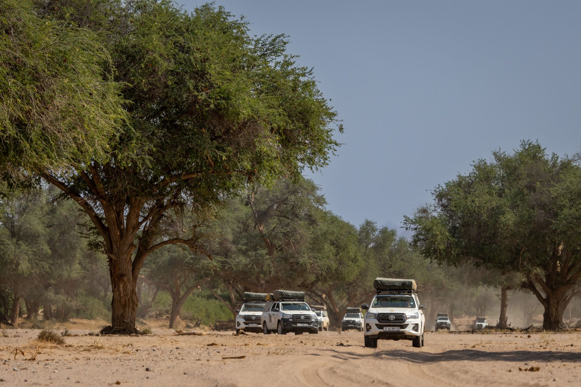 a row of toyota trucks are driving down a dirt road