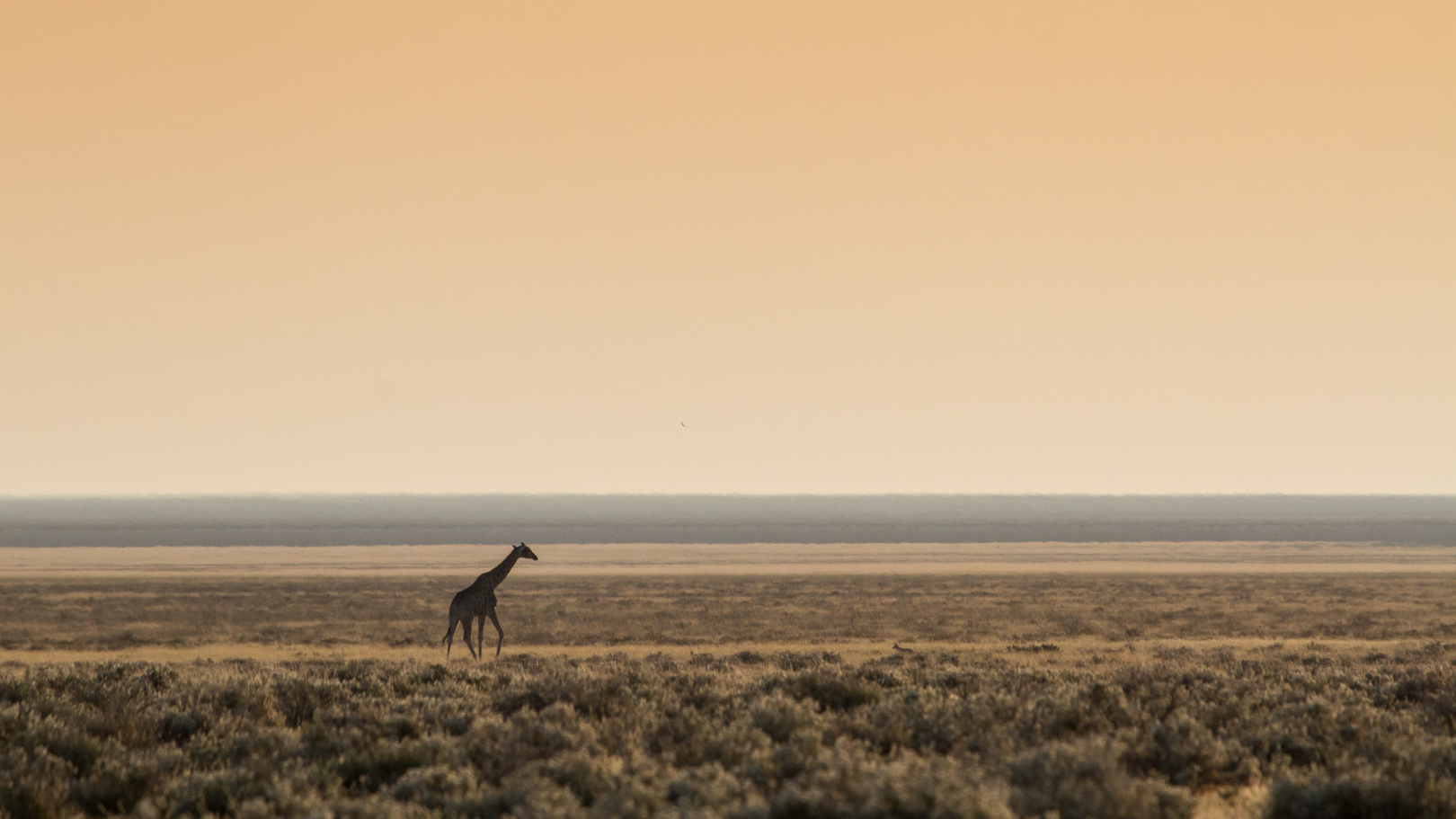 Overlanding in Namibia